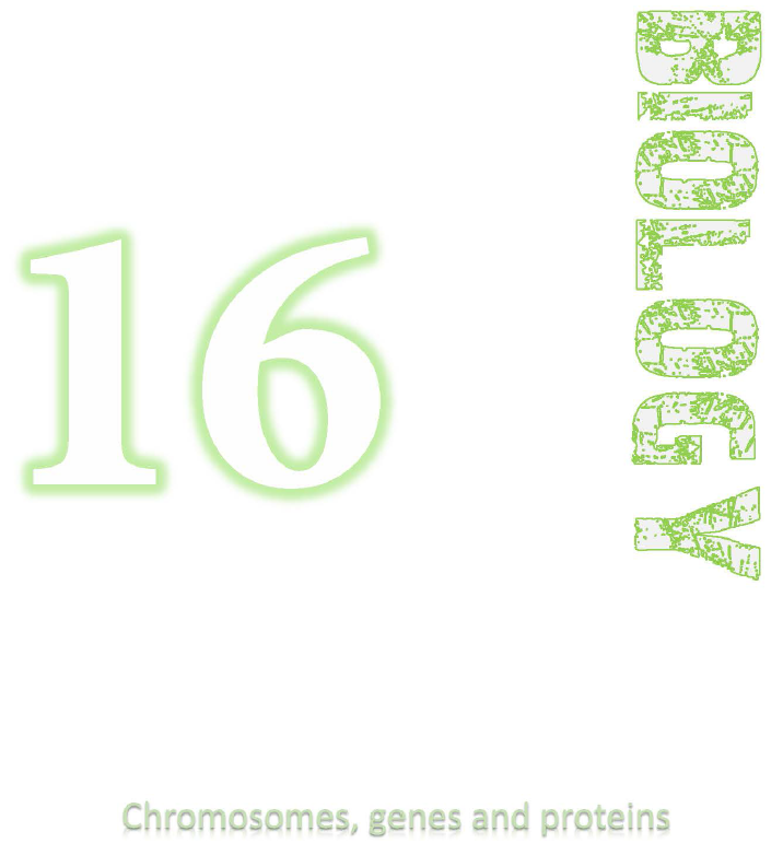 OL Chapter 16